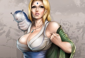 кулон, животное, девушка, tsunade, naruto, Арт, douglas-bicalho