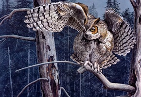 дерево, арт, лес, филин, ветка, Guy coheleach, сова