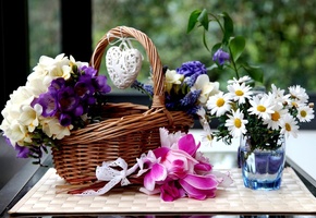 фрезии, цикламены, гиацинты, Цветы, корзинка, ромашки