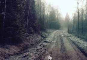дорога, грязь, Лес