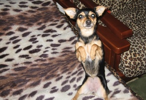 19 ноября 2012 г., г. Львов