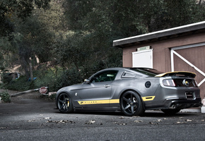 gt, мускул кар, Ford, silvery, mustang, форд, серебристый, мустанг