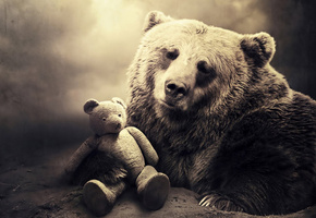 ветки, земля, Медведь, взгляд, игрушка, грусть