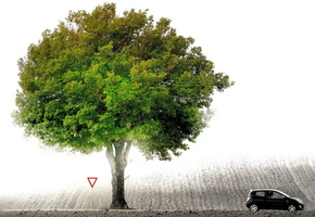 знак, машина, Дерево