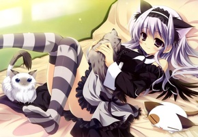 котики, Аниме, ушки, девушка, постель, платье