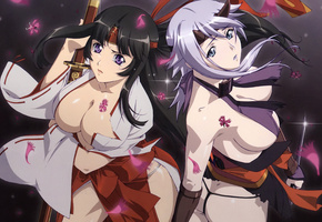 оружие, девушки, Queen`s blade, томоэ, аниме, цветы, сидзука