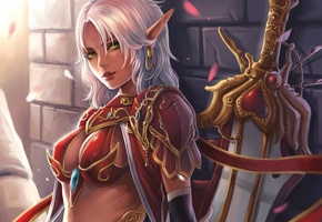 эльф, стена, dantewontdie, арт, эльфийка, World of warcraft, wow