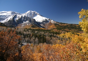 ясный, синее, деревья, Осень, день, листья, лес, горы