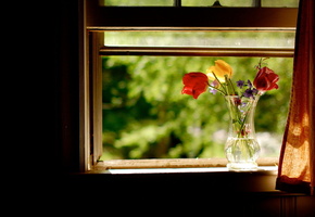 Окно, лето, цветы