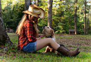 дерево, шляпа, сидя, закат, Собака, девушка, трава, домик