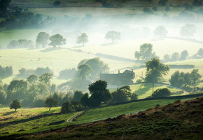 Утро, долина, туман, ферма, деревья