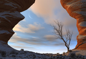 облака, дерево, небо, луна, Природа, скалы