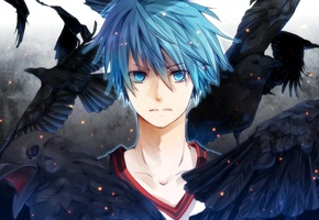 mochitachio, kuroko no basket, Арт, птицы, парень, kuroko tetsuya, вороны