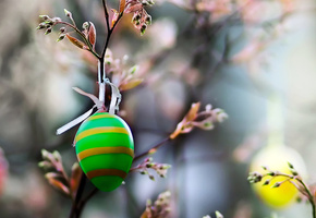 цветное, зелёное, Ветка, макро, природа, пасха, яйцо