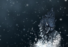 Арт, перья, искры, голова, птица, точки