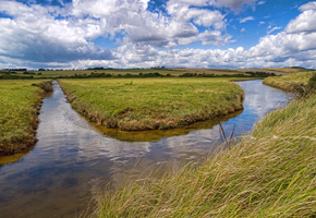канал, вода, Река, трава, облака
