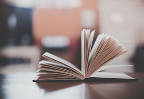 стол, Книга, макро