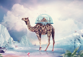 тадж-махал, птицы, Верблюд, ромбы, стеклянный, купол