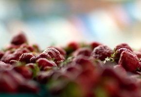 Клубника, ягоды, макро