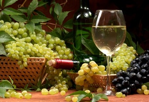 бутылка, Вино, белое, листья, бокал, корзины, виноград