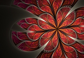 лепестки, узор, красный, Арт, цветок