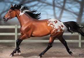 снег, пятна, aomori, забор, Арт, размытость, лошадь, конь