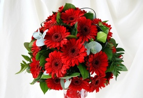 композиция, герберы, цветы, Букет