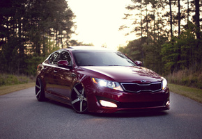 оптима, Kia optima, киа, road, лес, wood, clean, stance, дорога