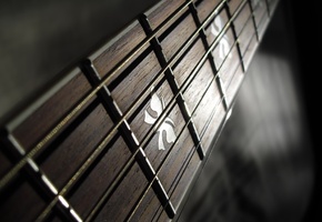 гриф, макро, гитара, Лады, струны