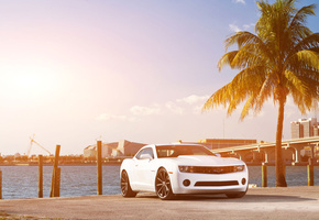 передняя часть, Chevrolet, белый, камаро, шевроле, white, camaro