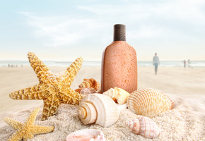 ракушки, морские звёзды, пляж, Песок