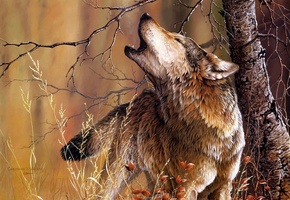 Christoper b. walden, дерево, арт, волк