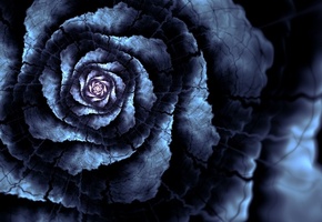 трещины, Арт, цветок, линии, лепестки