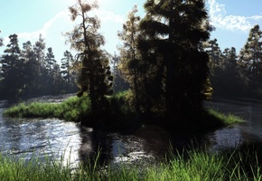 лес, Арт, природа, островок, трава, остров, река