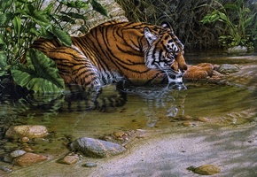 lee kromschroeder, tiger, thirsty, painting, jungle, beast of prey, stream, Tiger river, cat