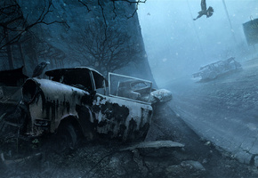 welcome to silent hill, ночь, машины, снег, птицы, Silent hill, зима