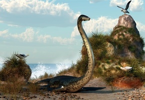 deskridge, чайки, динозавр, ракушки, камни, море, Арт