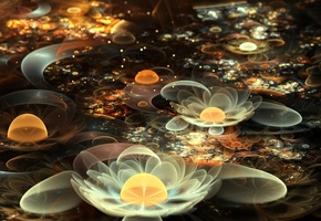 фрактал, кувшинки, лилии, цветы, Абстракция, белые