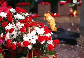 цветы, огонь, День, победы, вечный