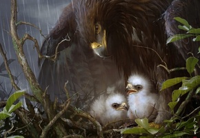 орел, птицы, дождь, листья, гнездо, птенцы, забота, Арт