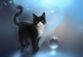 soulshine, кошка, Арт, apofiss