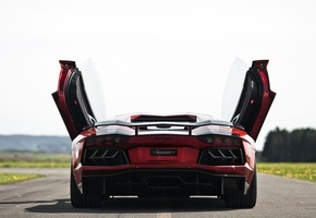 суперкар, попа, дорога, двери, Lamborghini aventador