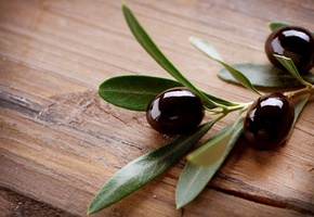 зеленый, дерево, Еда, маслины, черный