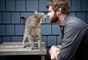 man, вой, мужчина, guy, кошки, funny, howl, wild, Bossy cat, дикие