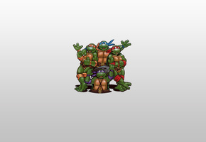 teenage mutant ninja turtles, Черепашки-ниндзя