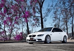 белый, небо, white, бмв, m3, e92, Bmw, дерево, tree, wheels