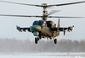 аллигатор, Ка-52, hokum b, вертолёт