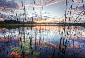 небо, отражение, камиш, Природа, озеро