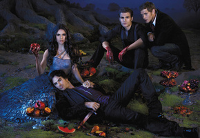 the vampire diaries, Дневники вампира, nina dobrev, нина добрев