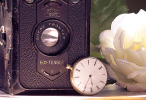 часы, фотоаппарат, Ретро, карманные, камера, роза